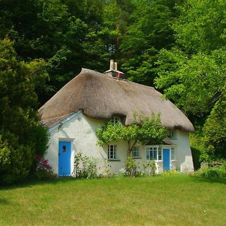 Lew Quarry Cottage Lewdown Exterior foto